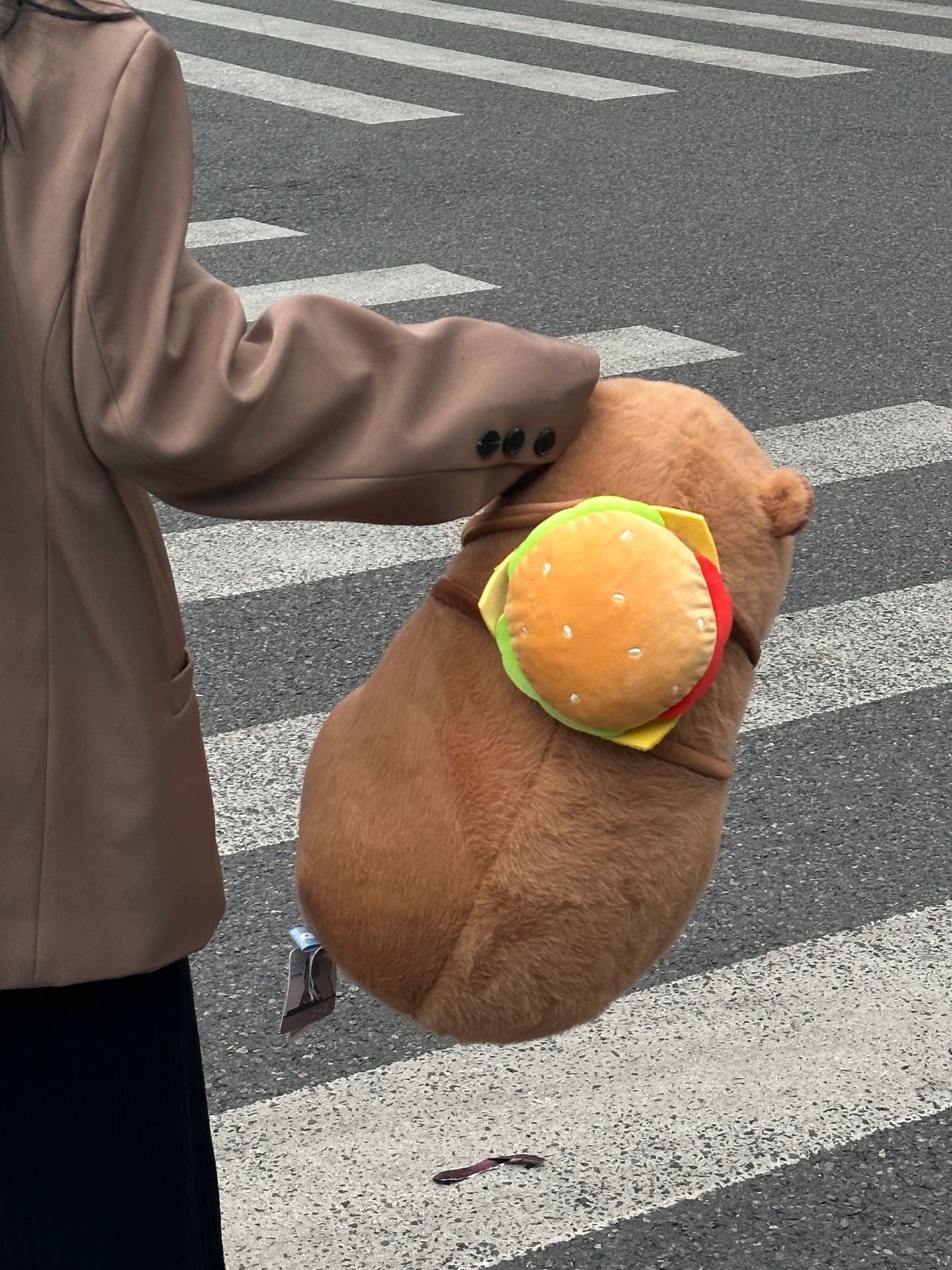 Capybara and burger bag🍔