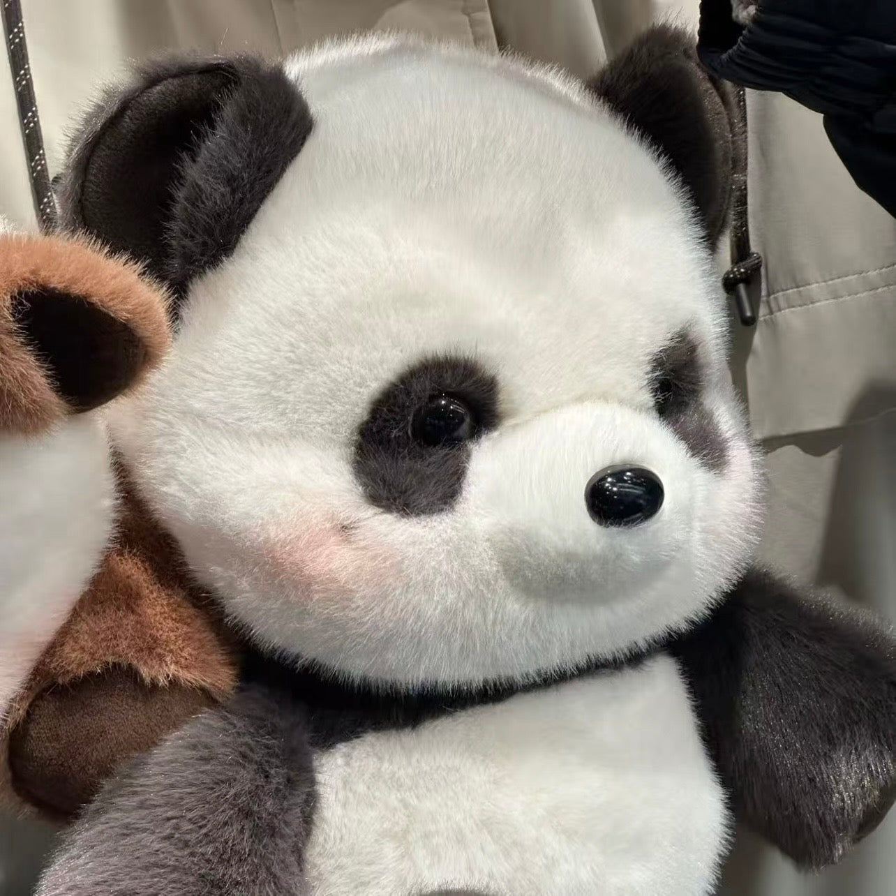 Baby Panda Soft Toy