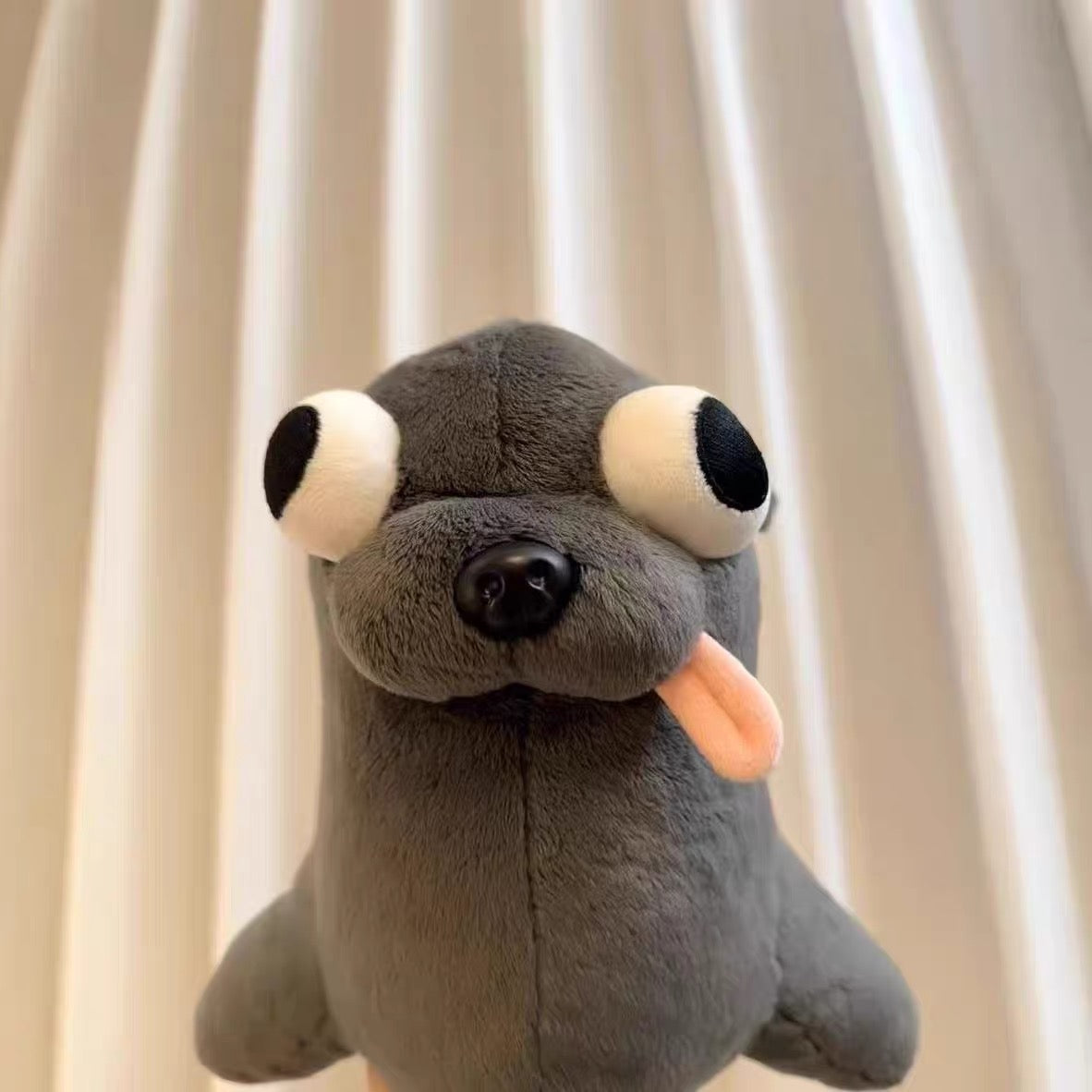 sea lion