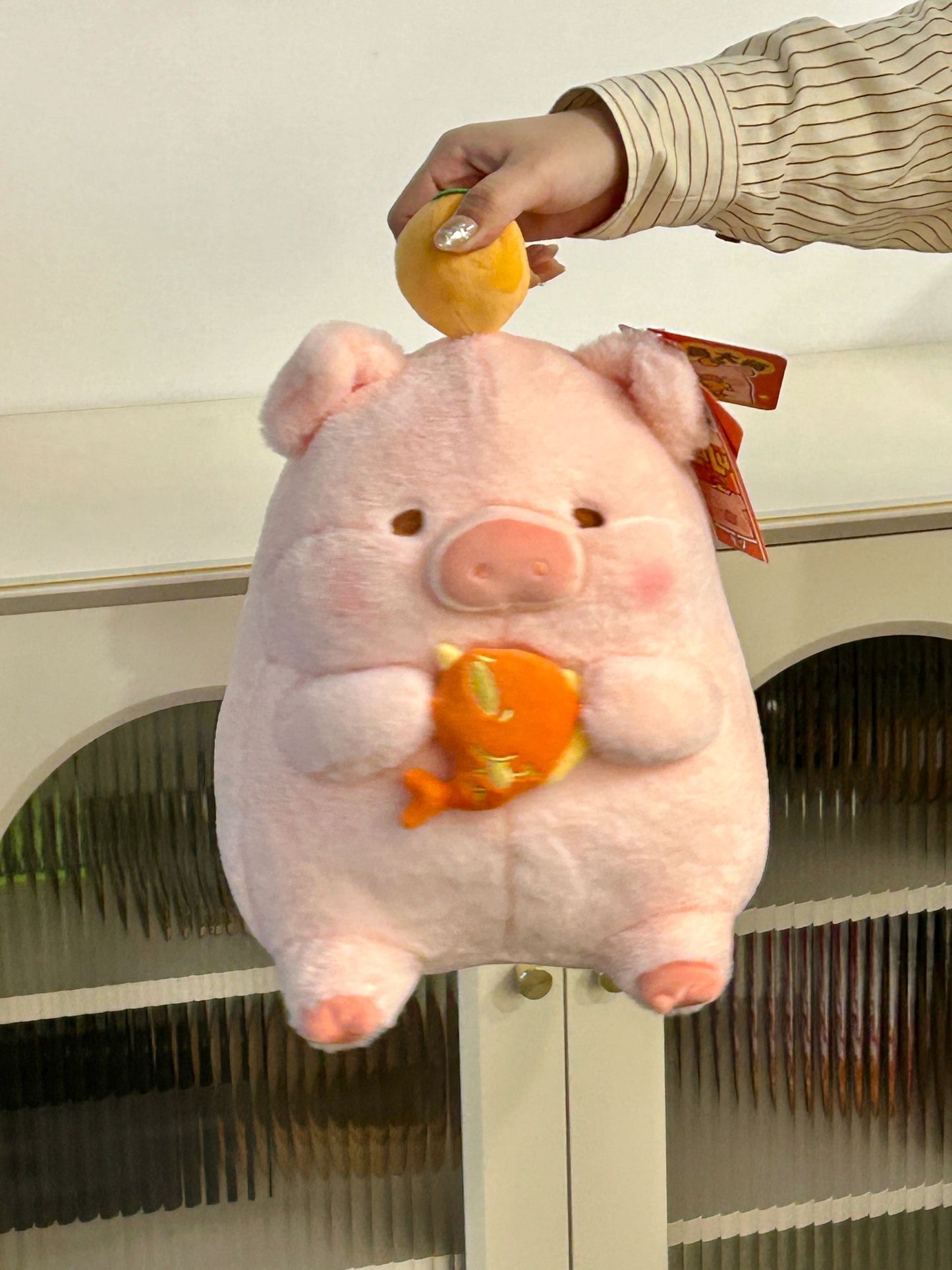 Pig holding fish🐠🍊
