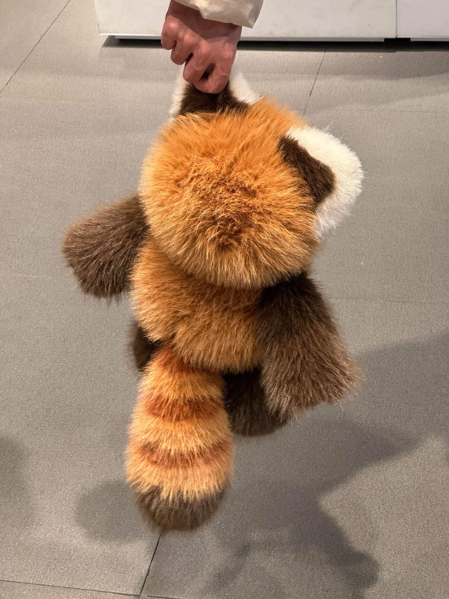 [Pre-orders]  Red Panda Fluffy 🐼🤎