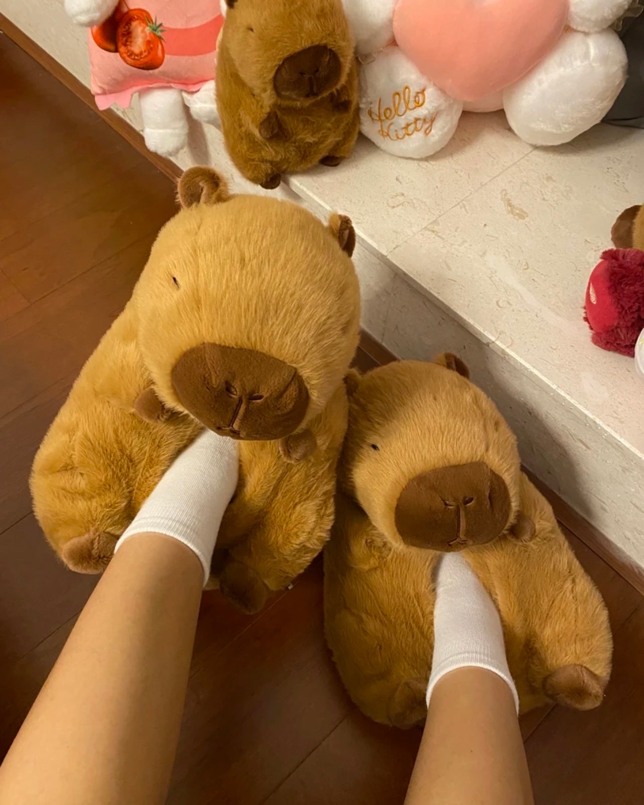 Capybara shoes🤎