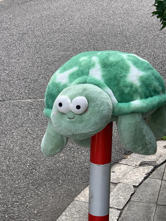 Turtle 🐢