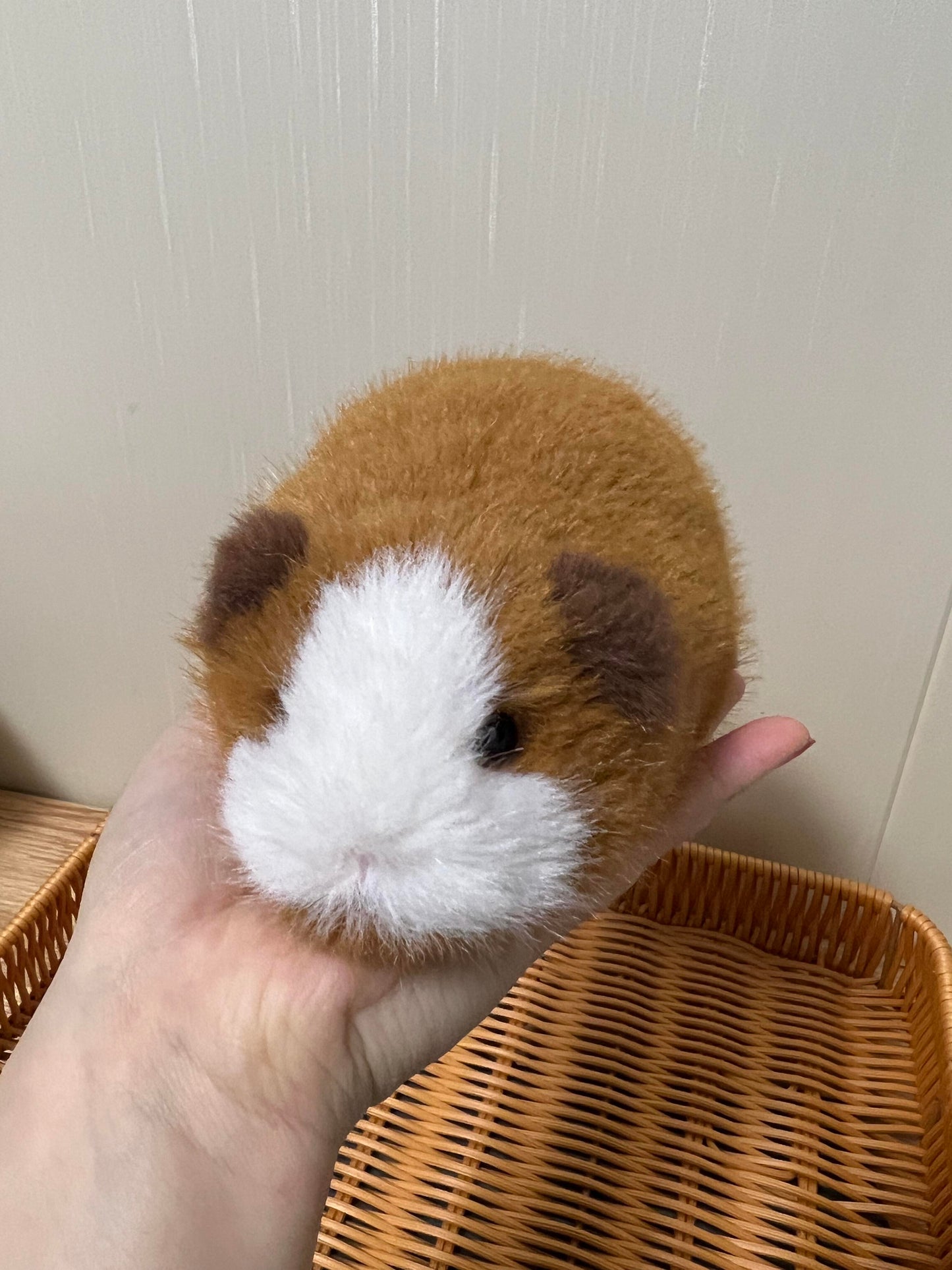 Cute Guinea Pig Plush Toy (Handmade)
