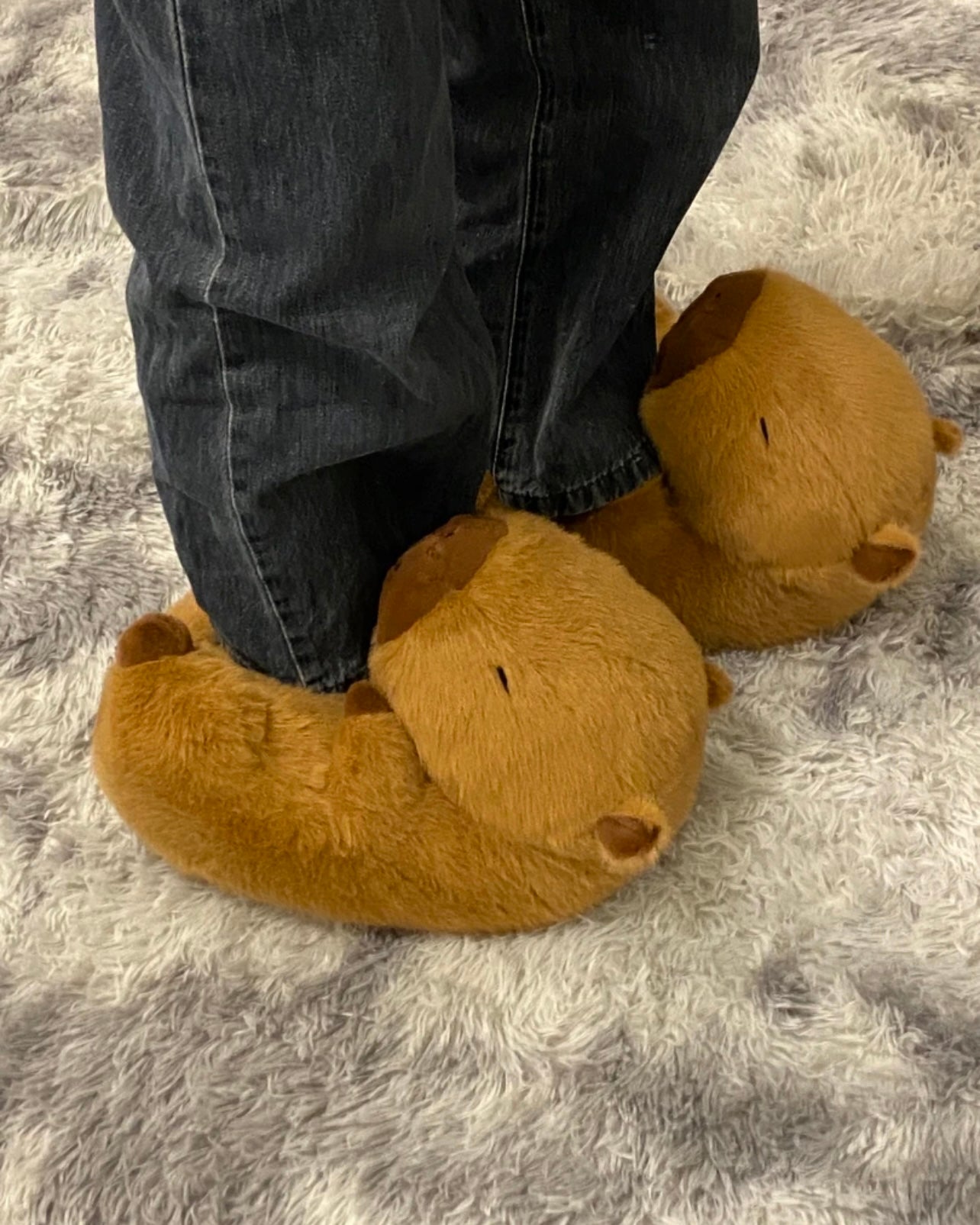 Capybara shoes🤎