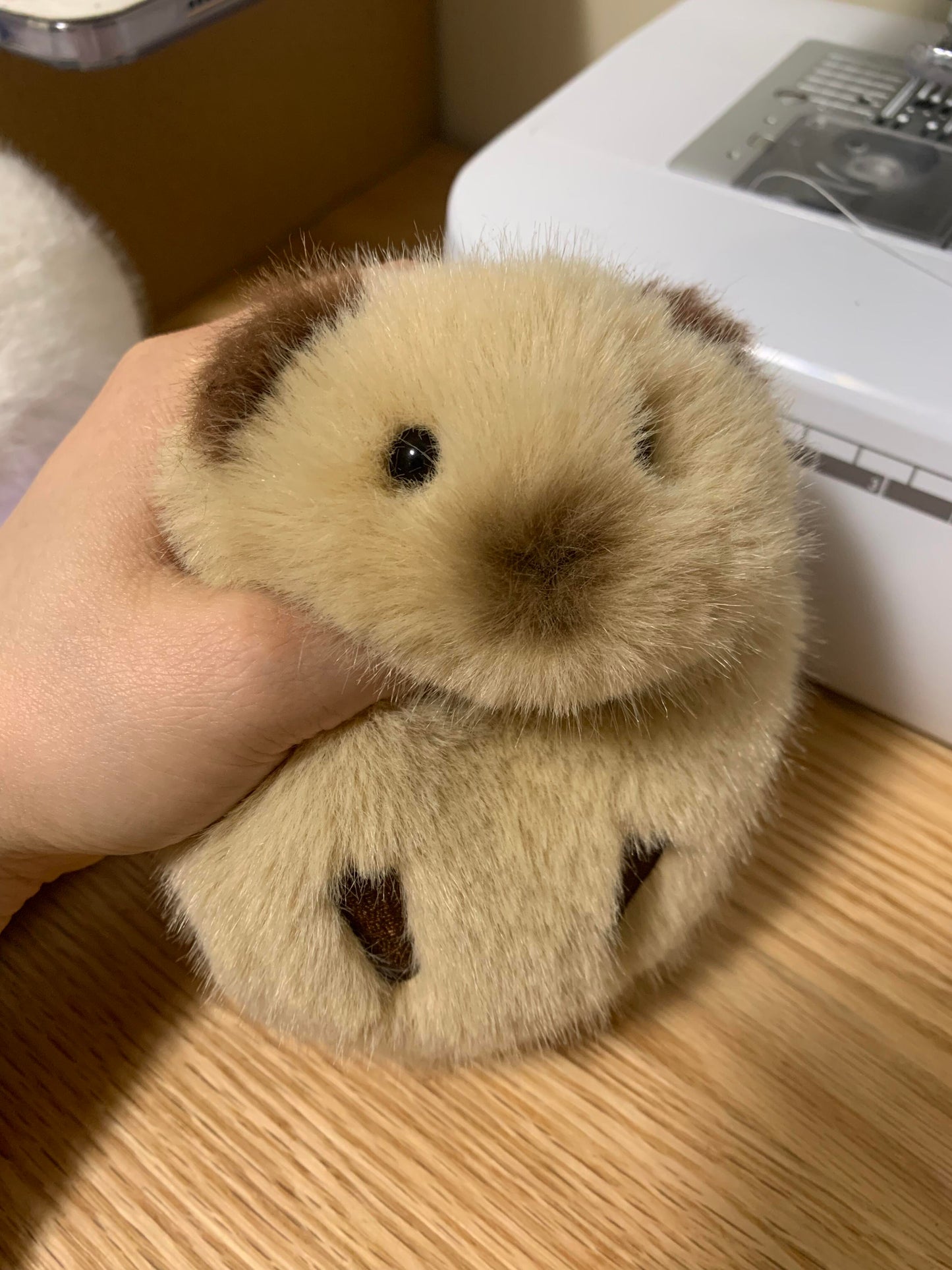 Cute Guinea Pig Plush Toy (Handmade)