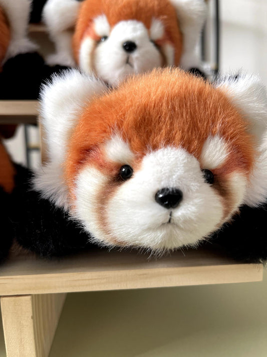 Red panda