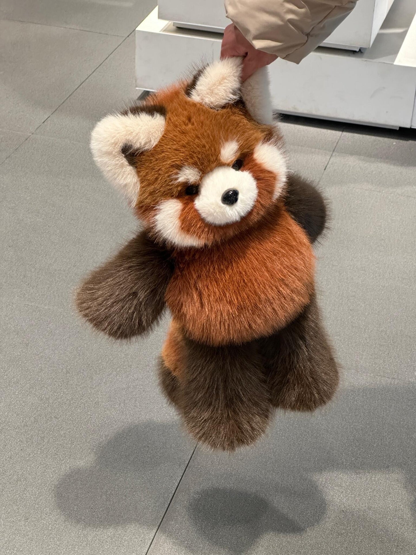[Pre-orders]  Red Panda Fluffy 🐼🤎