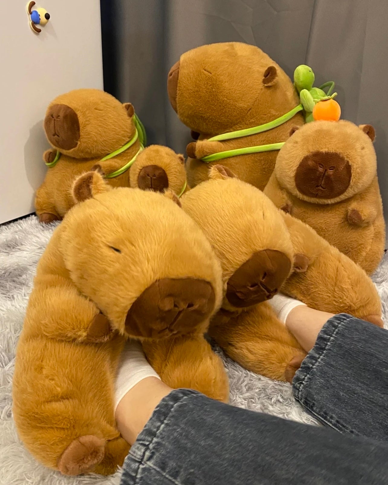 Capybara shoes🤎