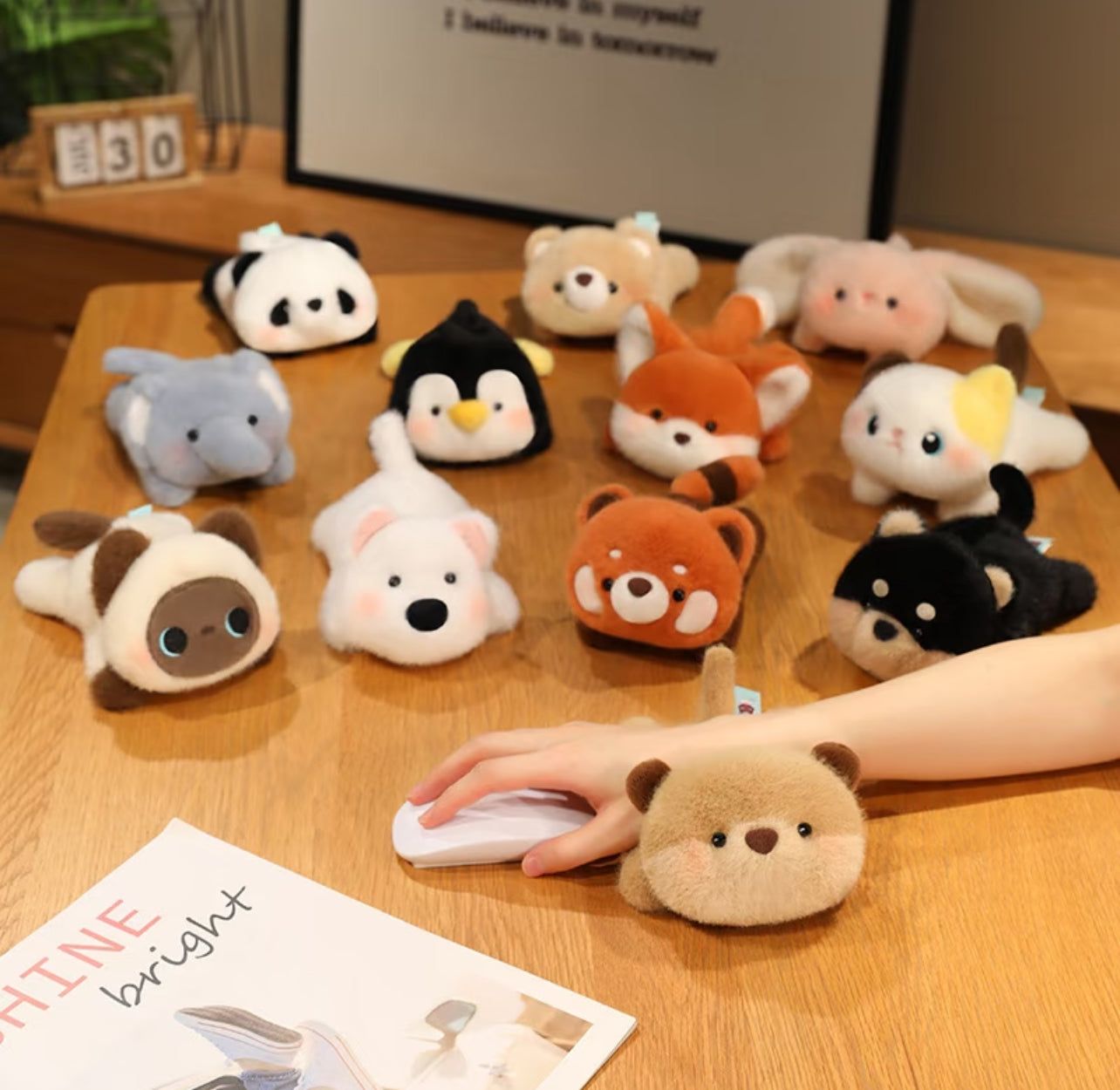 Mini animal plush toy 🧸