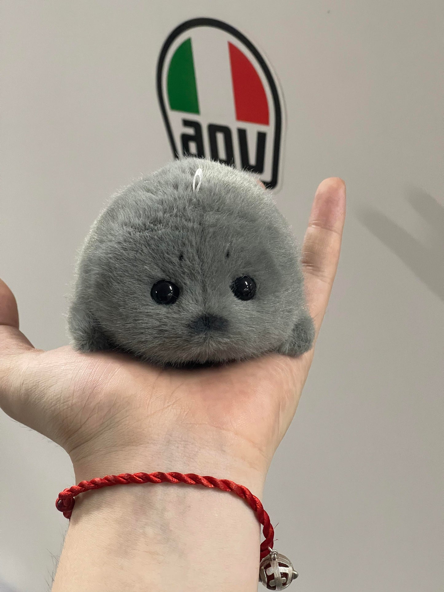 Mini seals 🦭🩶🤍