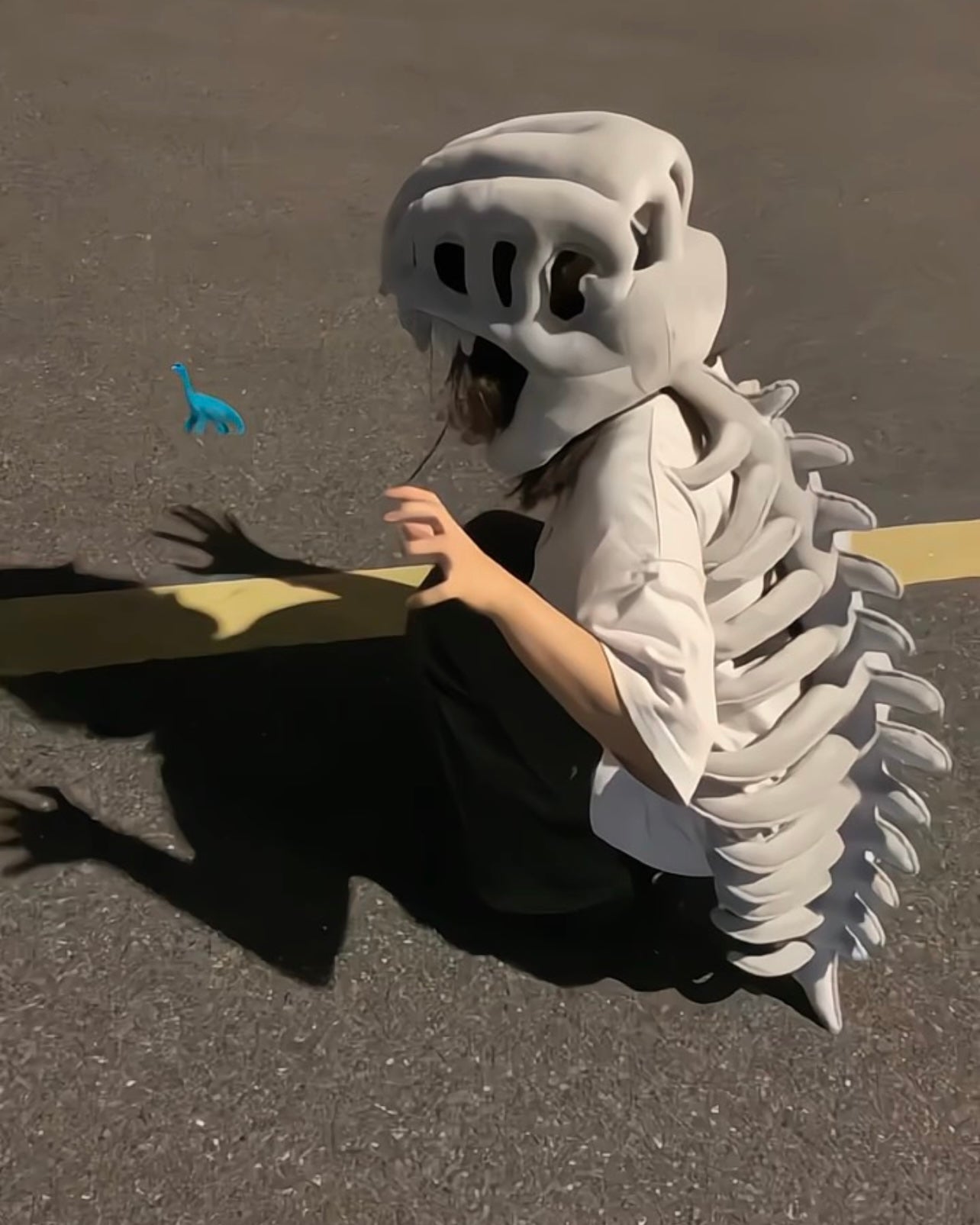Dinosaur skeleton🦖🦴🦴
