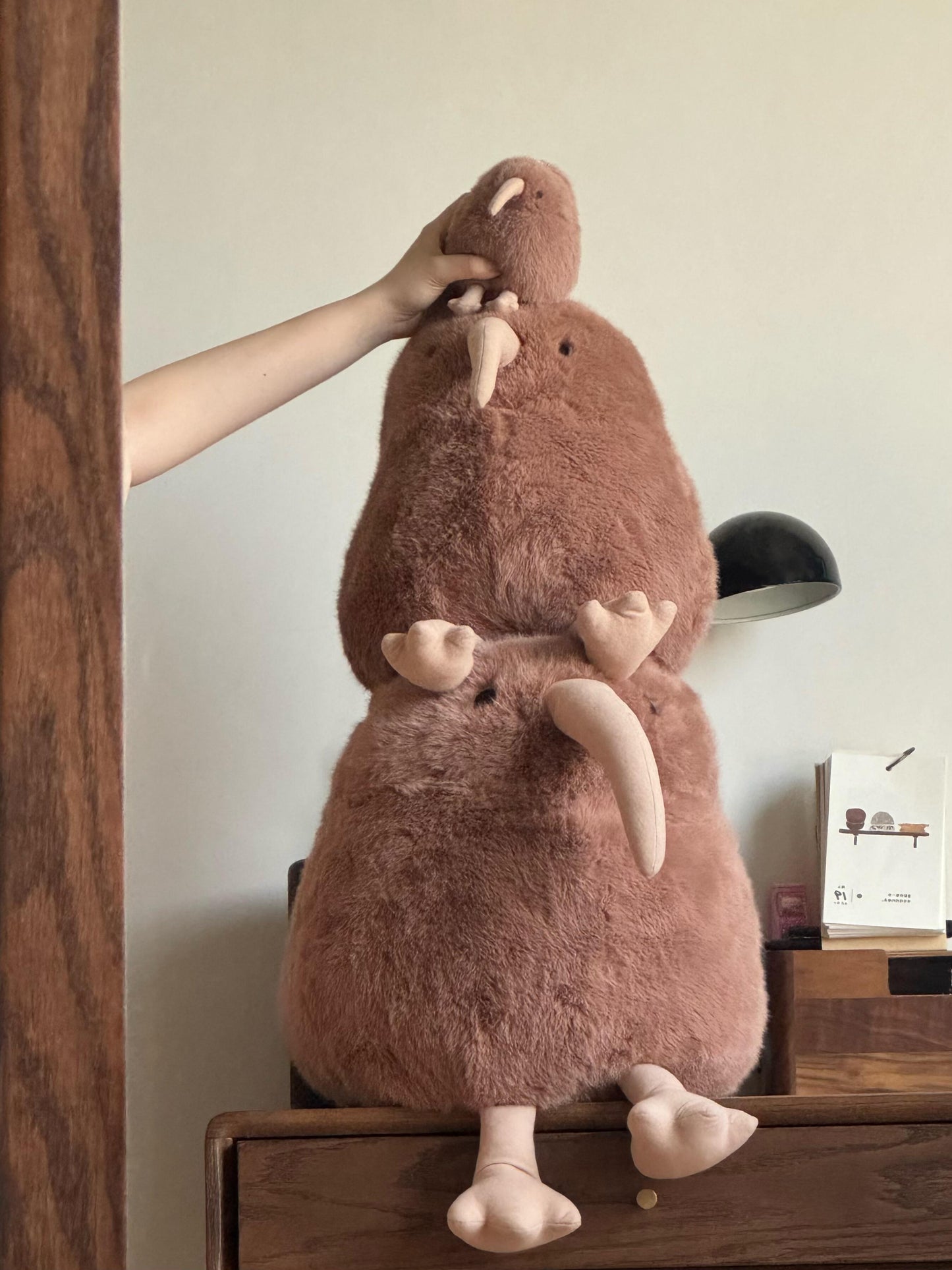 Kiwi bird🥝
