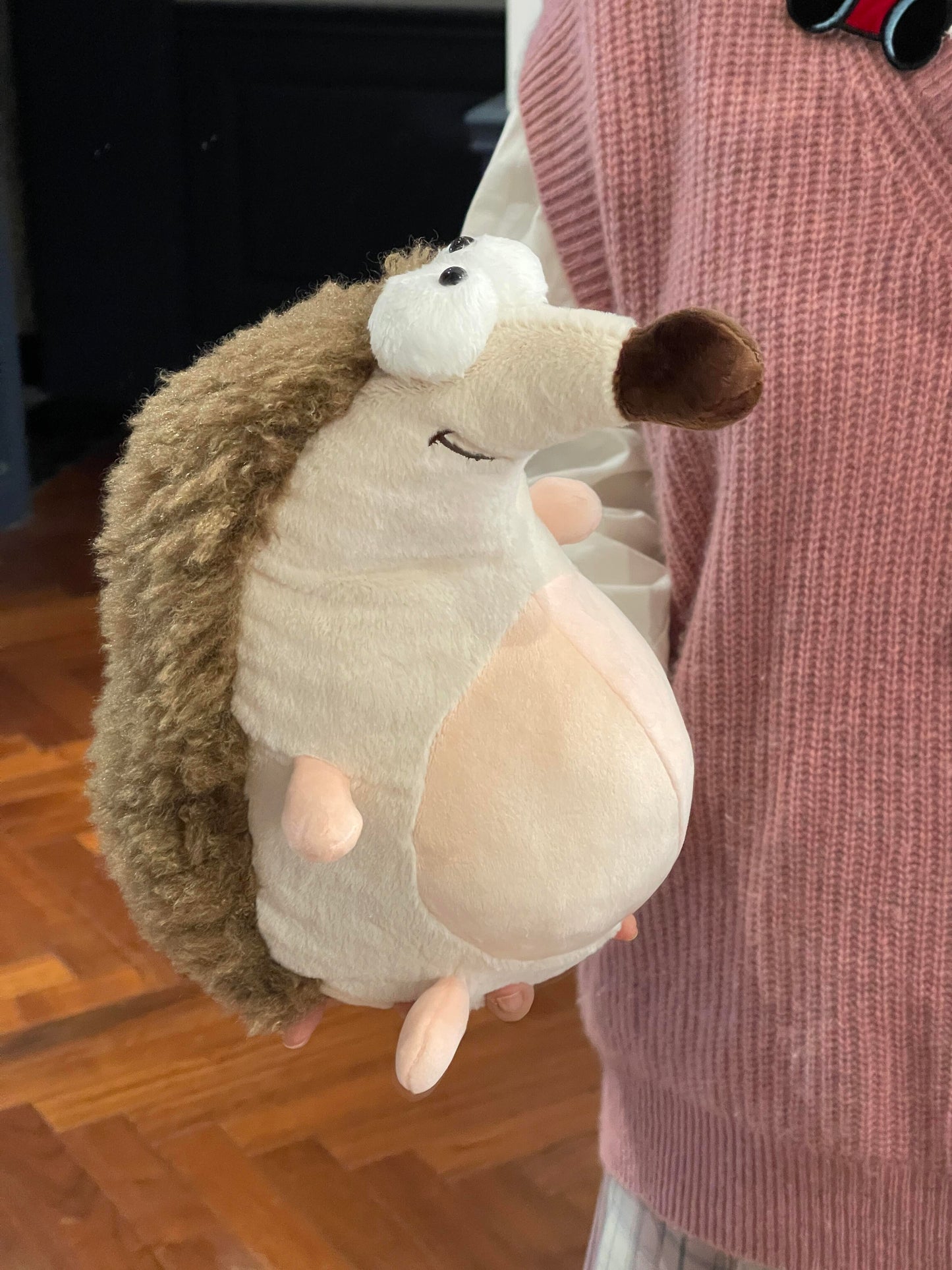 Hedgehog doll 🦔