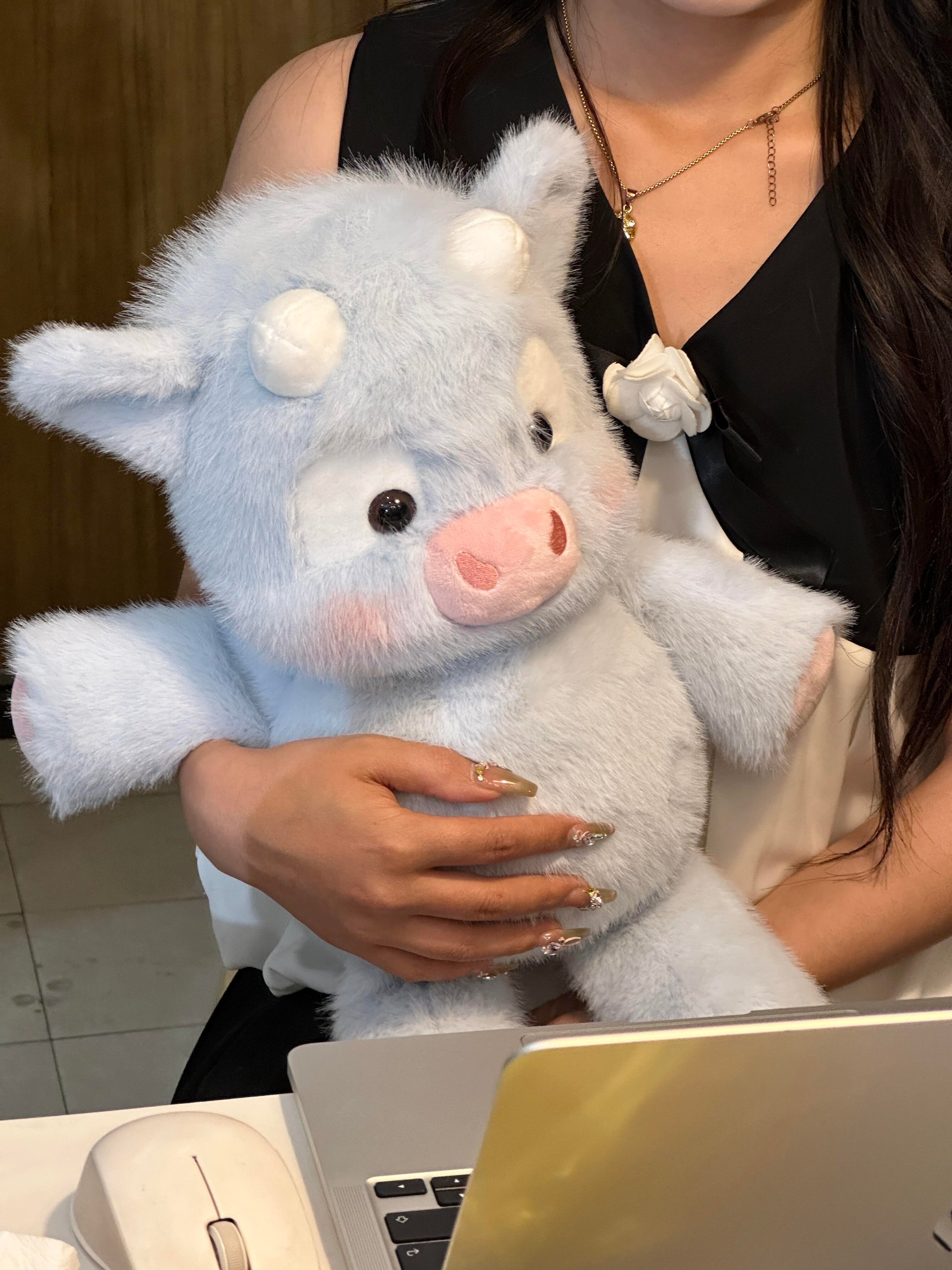 ๐๐Cows๐ฎ